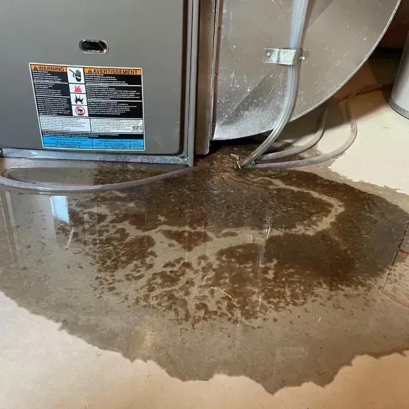 Appliance Leak Cleanup in Lakeland Highlands, FL